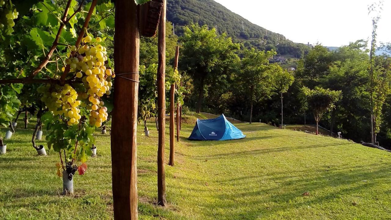 Hotel Camping Colle Vento Domaso Exterior foto